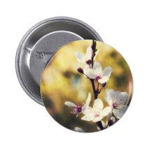 Frühlings-Blüte Buttons