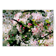 Frühlings-Blüten Grußkarte