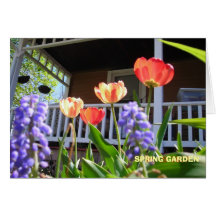 FRÜHLINGS-GARTEN KARTEN