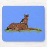 Frühlings-Schmetterlings-Pferdecolt Mousepad