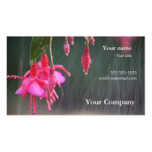 Fuchsien in der Regen-Visitenkarte