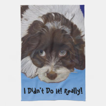 Funny Guilty Cocker Spaniel Kitchen Towels