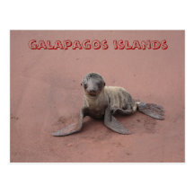 Galapagos-Inseln Postkarten