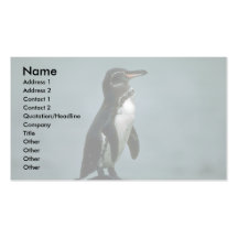 Galapagos Pinguin auf Lava-Felsen Visitenkartenvorlage