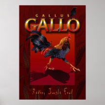 Gallus Gallo Plakat