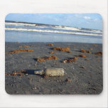 Galveston Uferdamm Mousepads