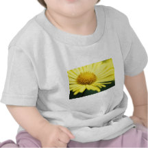 Gämswurzen T-Shirts