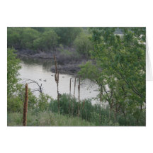 Gänse auf dem See Grußkarte