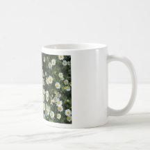 Gänseblümchen Tee Tassen