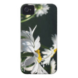 Gänseblümchen-Traumfall iPhone4 Case-Mate iPhone 4 Hülle