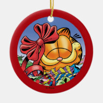 Garfield-Feiertag stellt PERSONALISIERTE Verzierun ornaments