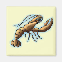 Garnele Magnete