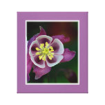 Garten-Blume eingewickelte Leinwand Leinwanddruck
