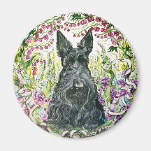 GartenScottie Magnete