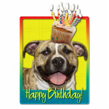 Geburtstags-kleiner Kuchen - Pitbull - Tigger Fotoausschnitte