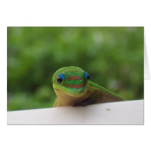 Gecko im Tropen notecard Karte