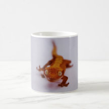 Gecko-Nahaufnahme mit Haube Tassen
