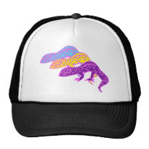 Geckos 01 kult cap