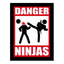 Gefahr Ninjas Postkarte