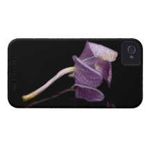 Gefallene Orchidee Case-Mate iPhone 4 Hüllen