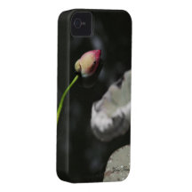Gefallener Lotos-Case-Mate-Fall Case-Mate iPhone 4 Hüllen