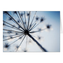 Gefrorene Blume gefaltete Karte