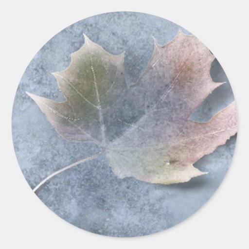 Gefrorenes Blatt auf Eis Runde Sticker