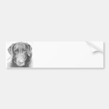 Gefühlvolle Schokoladen-Labrador-Skizze Auto Aufkleber