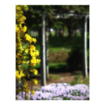Geheimnis-Garten-Hochzeit UAWG Individuelle Ankündigung