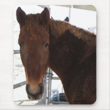 Gehendes Pferd große Augen-rotes Tennessees - TWH Mousepad