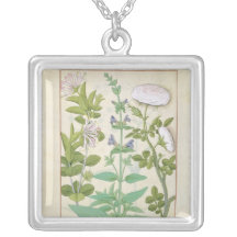 Geißblatt, Salbei und Rose Selbst Gestalteter Schmuck