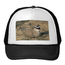 Gekrönter Regenpfeifer Trucker Mütze