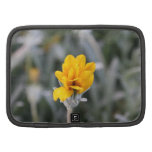 Gelbe Blume, fast geschlossen Planer