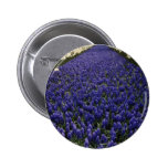 Gelbe Blumen-Anzeigen-Blumen Anstecknadel