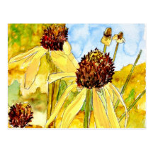 gelbe coneflower Postkarten