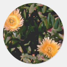 Gelbe Eis-Pflanzen-Blumen Aufkleber