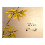 Gelbe Frühlingforsythia-Adressenänderung Postkarte