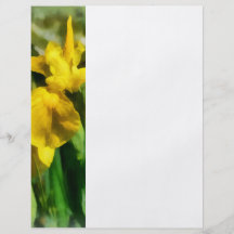 Gelbe japanische Iris Flyer Druck