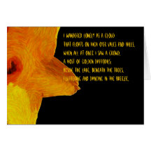 Gelbe Narzisse; William Wordsworth-Gedicht-Anmerku