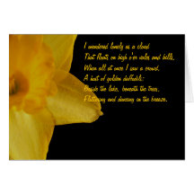 Gelbe Narzisse; William Wordsworth-Gedicht-Anmerku