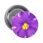 Gelbe Paulia Blumen Button