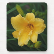 Gelbe Tageslilie Mousepad