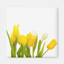 Gelbe Tulpen Kühlschrankmagnete