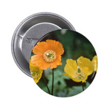 Gelbe und orange Mohnblumen-Blumen Button