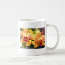 Gelbe und rote gestreifte Phalaenopsis-Orchideen Kaffeehaferl