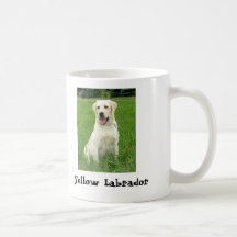 Gelber Labrador Haferl