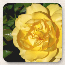 Gelber Rosen-Korken-Untersetzer
