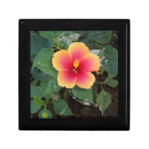 Gelber und rosa Blumen-Foto-Geschenk-Kasten Geschenkboxen
