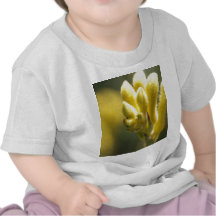 Gelbes Kanga T-shirt