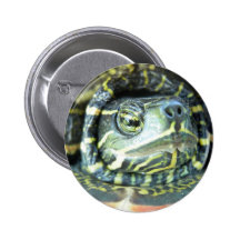 Gemalte Schildkröte (Chrysemys picta) 2 Button